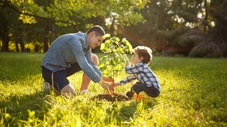 A man and a boy are planting a tree seedling on the field.