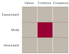 La boîte de style de placement est une représentation graphique des catégories de placement dans lesquelles un gestionnaire de placements investit.