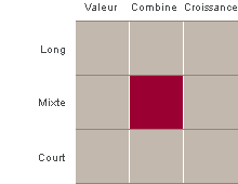 La boîte de style de placement est une représentation graphique des catégories de placement dans lesquelles un gestionnaire de placements investit.